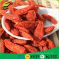 organic dried goji berry ningxia wolfberry Chinese red goji with Chinese red goji with Kosher FDA Certified